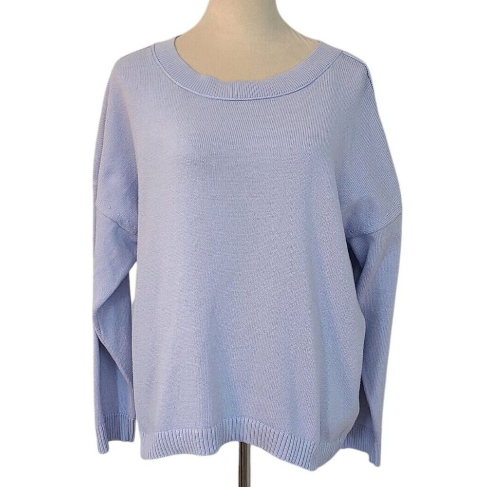 J Jill Womens L Blue Pastel Long Sleeve Relaxed Fit Pullover Sweater Cabincore